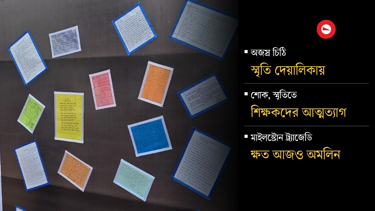 তুই তো বাসায় গিয়ে আমাকে মেসেজ দিলি না...