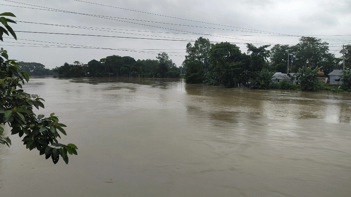 খোয়াই নদীর বাঁধ ভেঙে বানিয়াচংয়ের বিভিন্ন এলাকা প্লাবিত