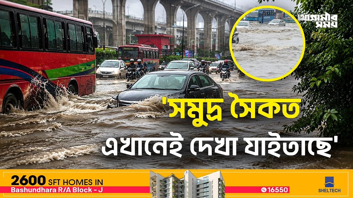 Video news 1