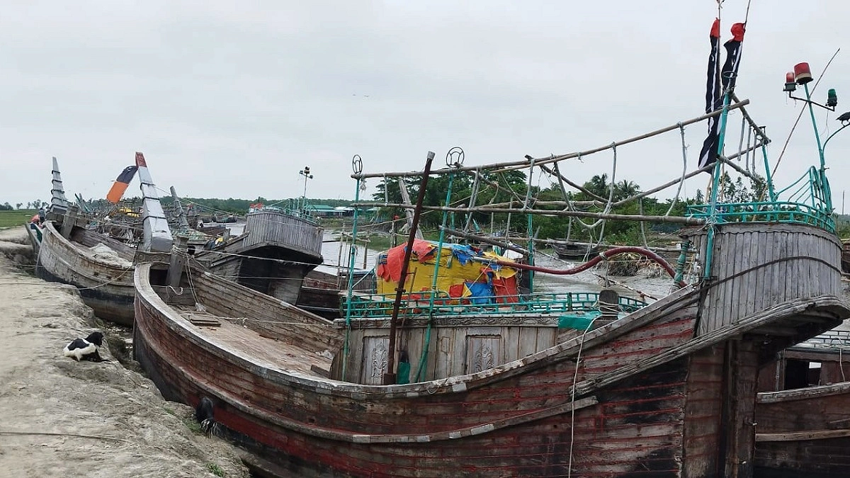 ভরা মৌসুমেও হাতিয়ায় মিলছে না ইলিশ