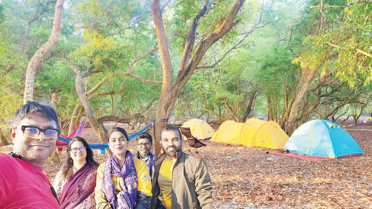 চর হেয়ারের ডায়েরি