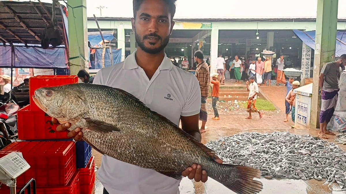 এক ‘কালো পোয়া’ বিক্রি অর্ধলাখে