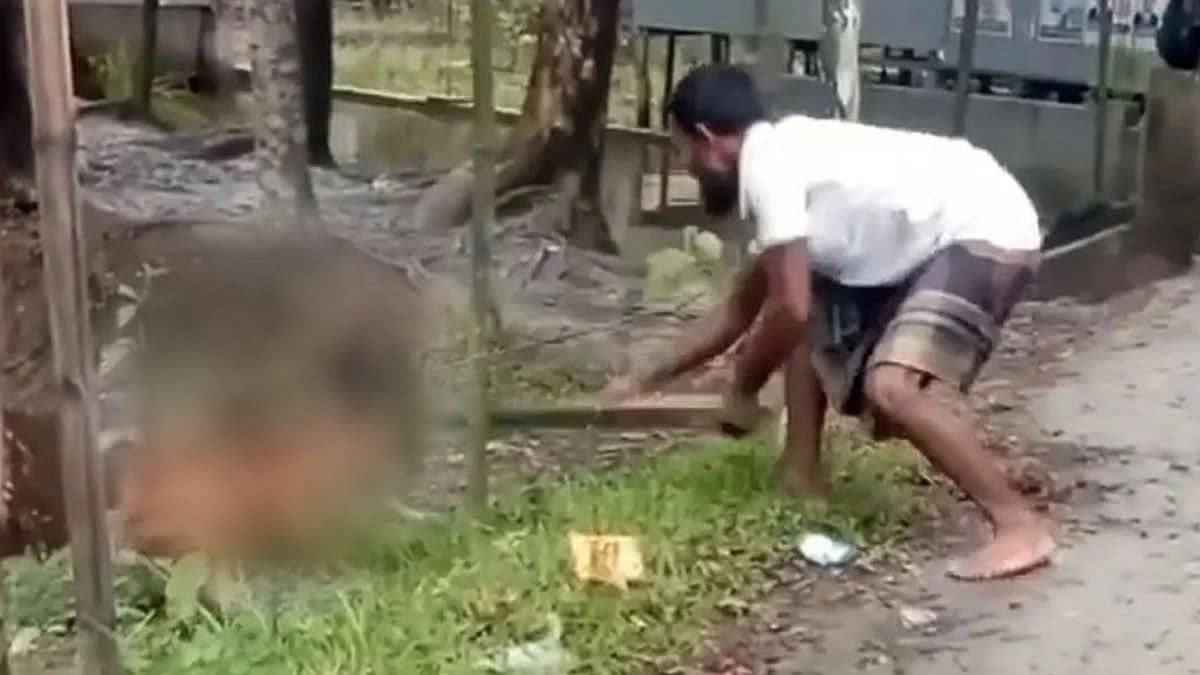 হাঁস কামড়ানোর অভিযোগে দুটি কুকুরকে পিটিয়ে হত্যা