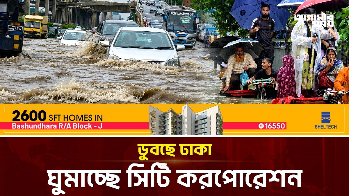Video news 2