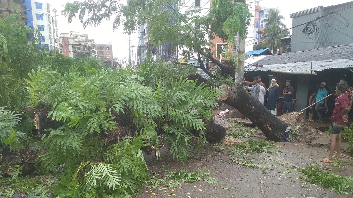 গাছ পড়ে তিন ঘণ্টা বন্ধ ফেনীর ব্যস্ত সড়ক